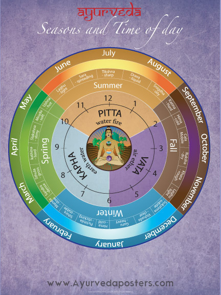 Ayurveda dosha clock